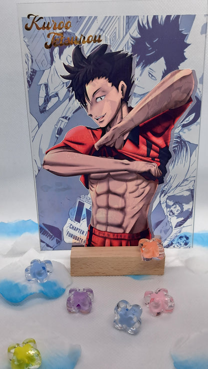 Haikyuu! Acrylic Character Standee