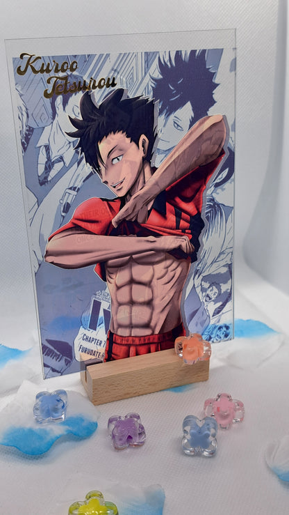 Haikyuu! Acrylic Character Standee