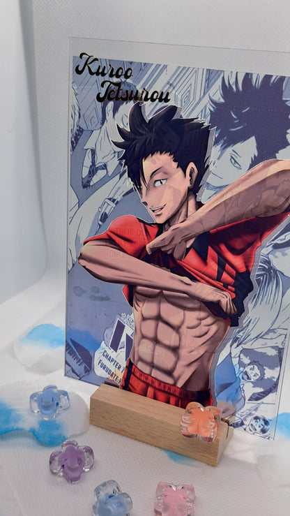 Haikyuu! Acrylic Character Standee
