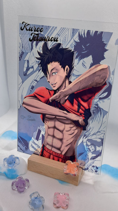 Haikyuu! Acrylic Character Standee